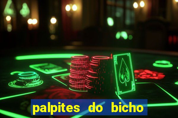 palpites do bicho no celular