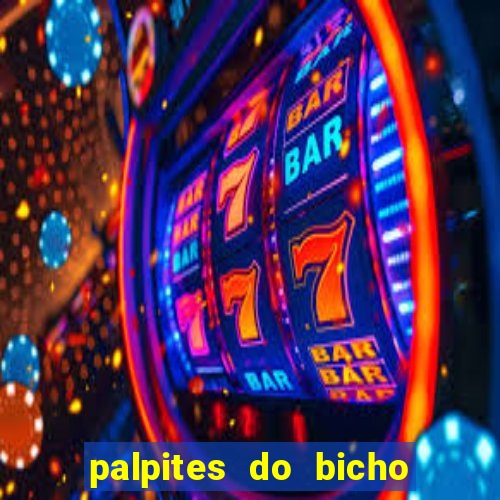 palpites do bicho no celular