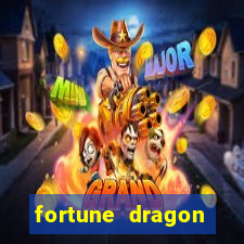 fortune dragon ganho certo demo