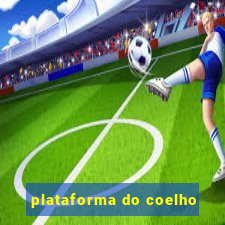 plataforma do coelho