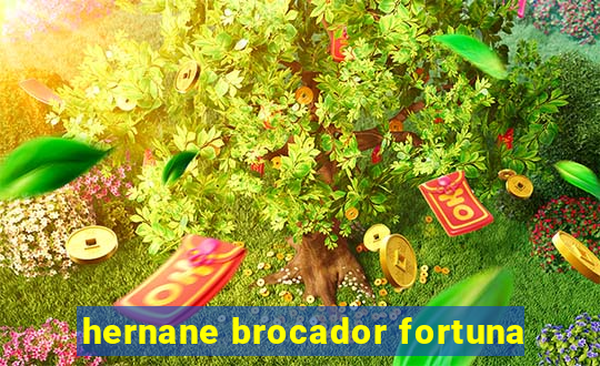 hernane brocador fortuna