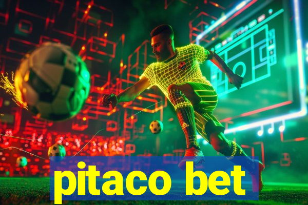 pitaco bet