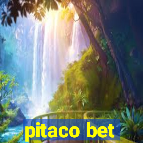 pitaco bet