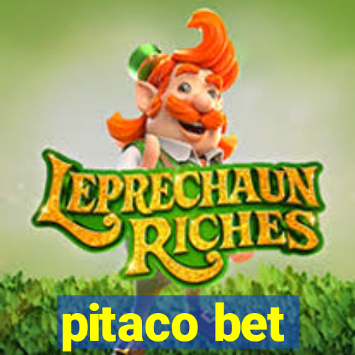 pitaco bet