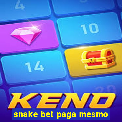 snake bet paga mesmo