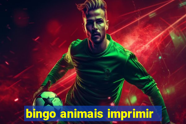 bingo animais imprimir