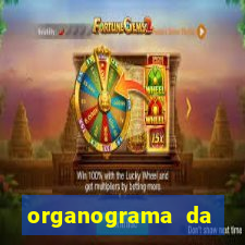 organograma da cacau show