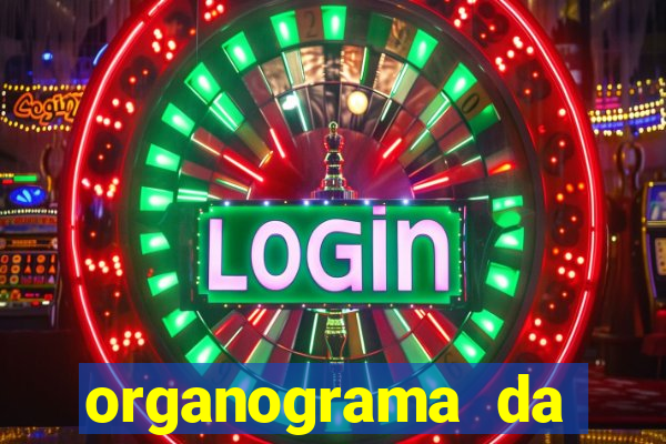 organograma da cacau show