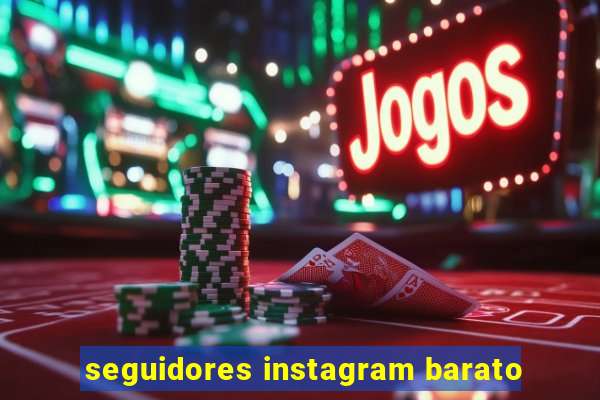 seguidores instagram barato