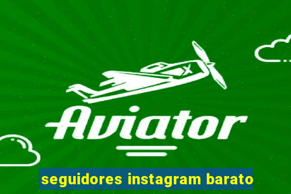 seguidores instagram barato