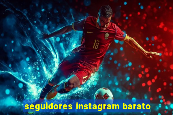 seguidores instagram barato