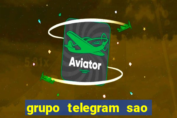 grupo telegram sao jose do rio preto