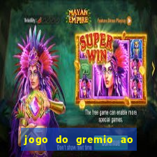 jogo do gremio ao vivo hd