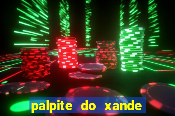 palpite do xande de hoje