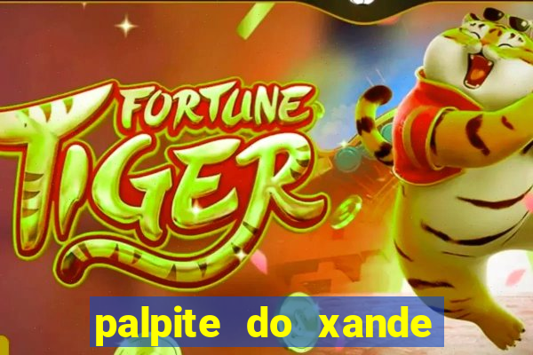 palpite do xande de hoje