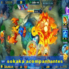 sokaka acompanhantes