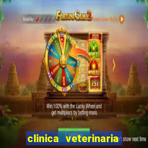 clinica veterinaria cuidar betim