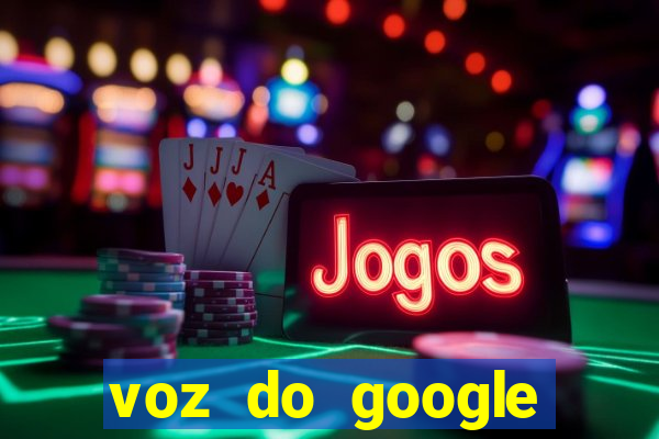 voz do google tradutor homem