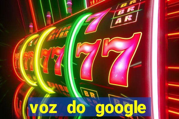 voz do google tradutor homem