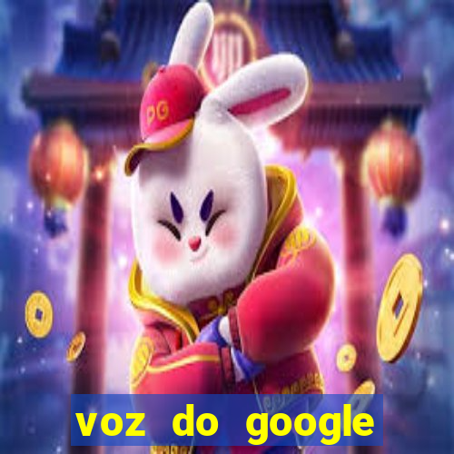 voz do google tradutor homem