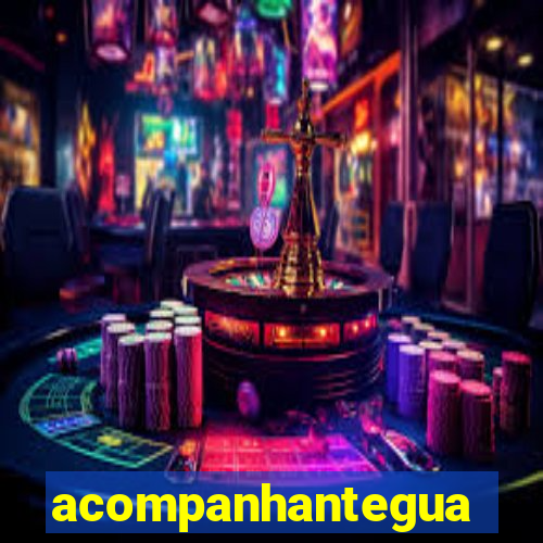 acompanhanteguanambi