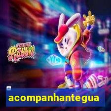 acompanhanteguanambi