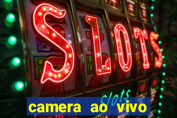 camera ao vivo terminal vila nova cachoeirinha