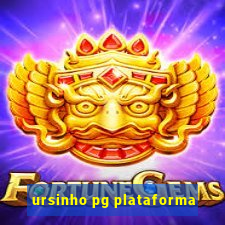 ursinho pg plataforma