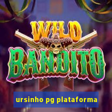 ursinho pg plataforma