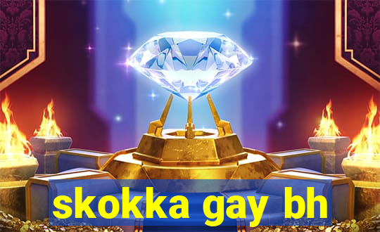 skokka gay bh