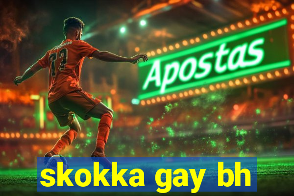 skokka gay bh