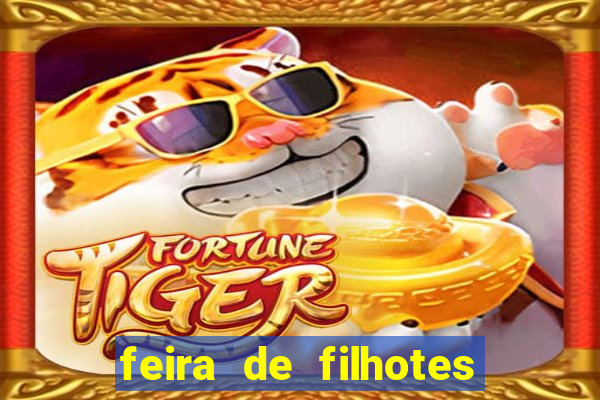 feira de filhotes porto alegre