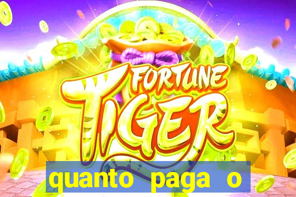 quanto paga o jungle fight