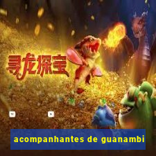 acompanhantes de guanambi