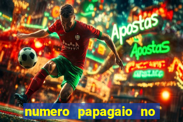 numero papagaio no jogo do bicho