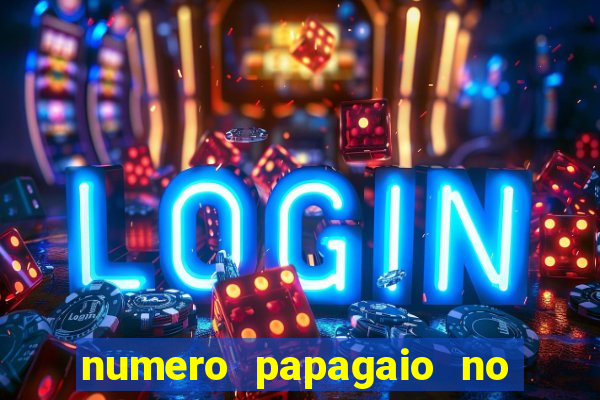 numero papagaio no jogo do bicho