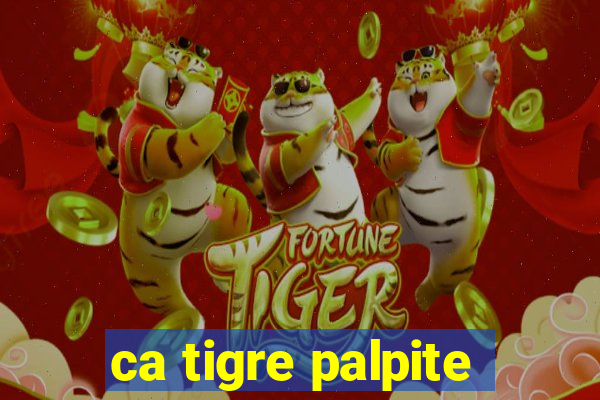 ca tigre palpite