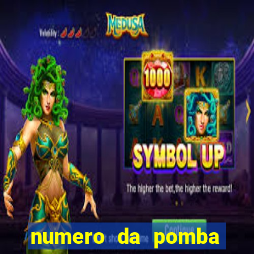 numero da pomba jogo do bicho