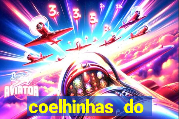 coelhinhas do brasil jp