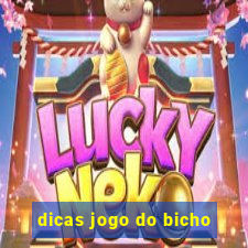 dicas jogo do bicho