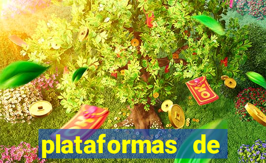 plataformas de jogos legalizadas no brasil