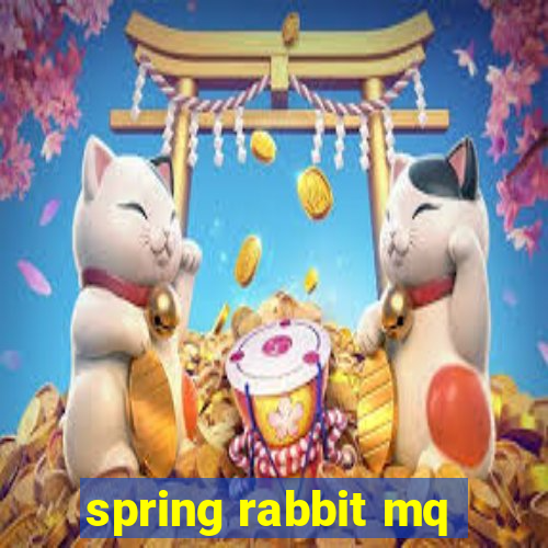 spring rabbit mq