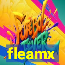 fleamx