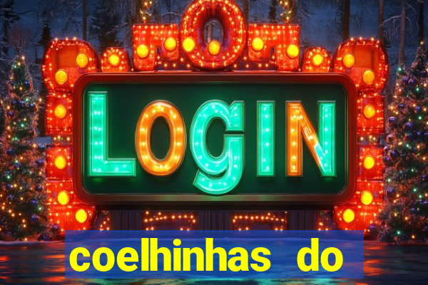 coelhinhas do brasil recife