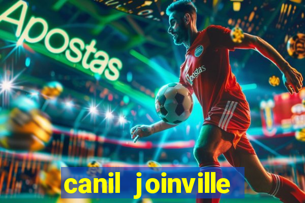 canil joinville vila nova