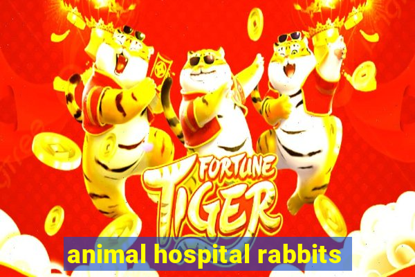 animal hospital rabbits