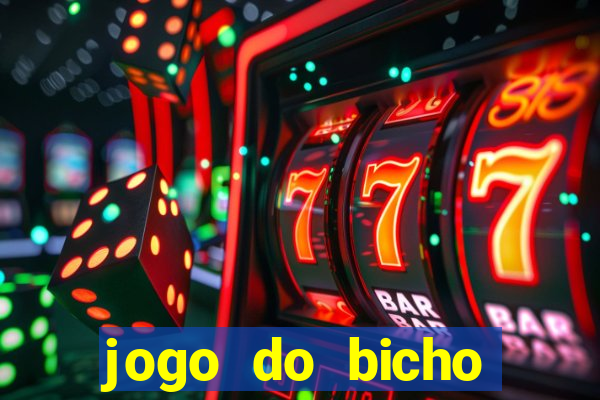 jogo do bicho crash bingo