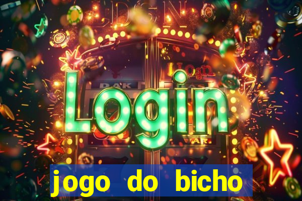 jogo do bicho crash bingo