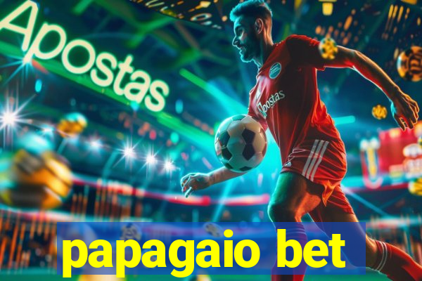 papagaio bet