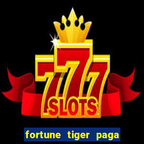 fortune tiger paga de madrugada